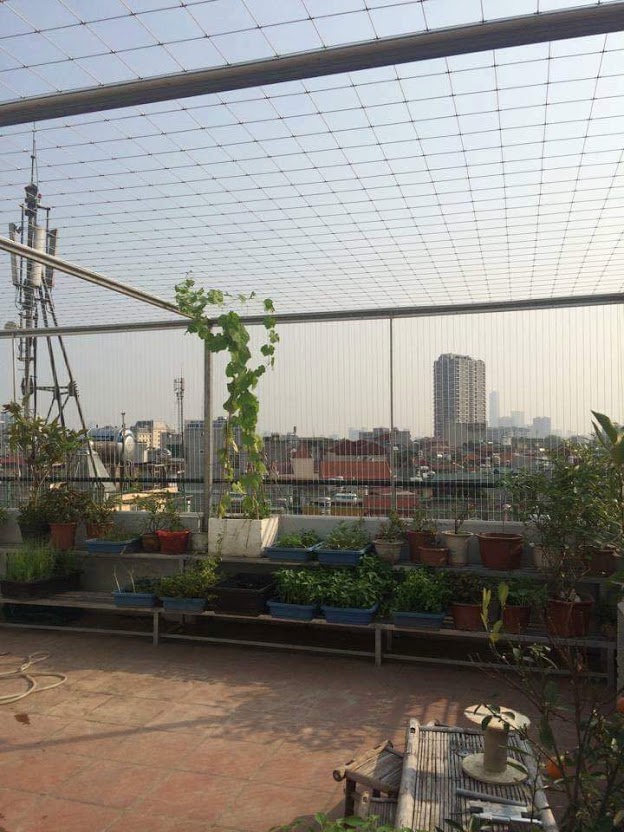  công trình thi công lưới an toàn chung cư ở Ninh Thuận