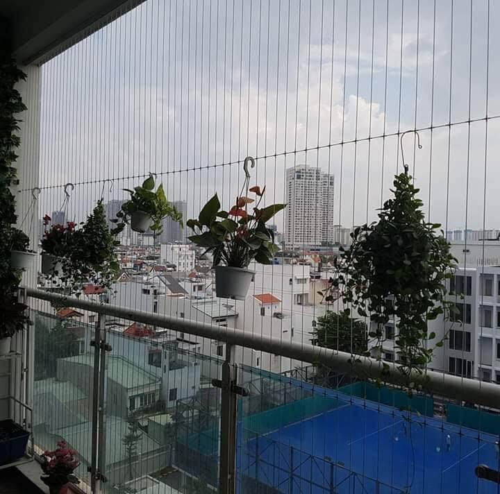 Hình ảnh thi công lưới an toàn ban công chung cư ở Trà Vinh