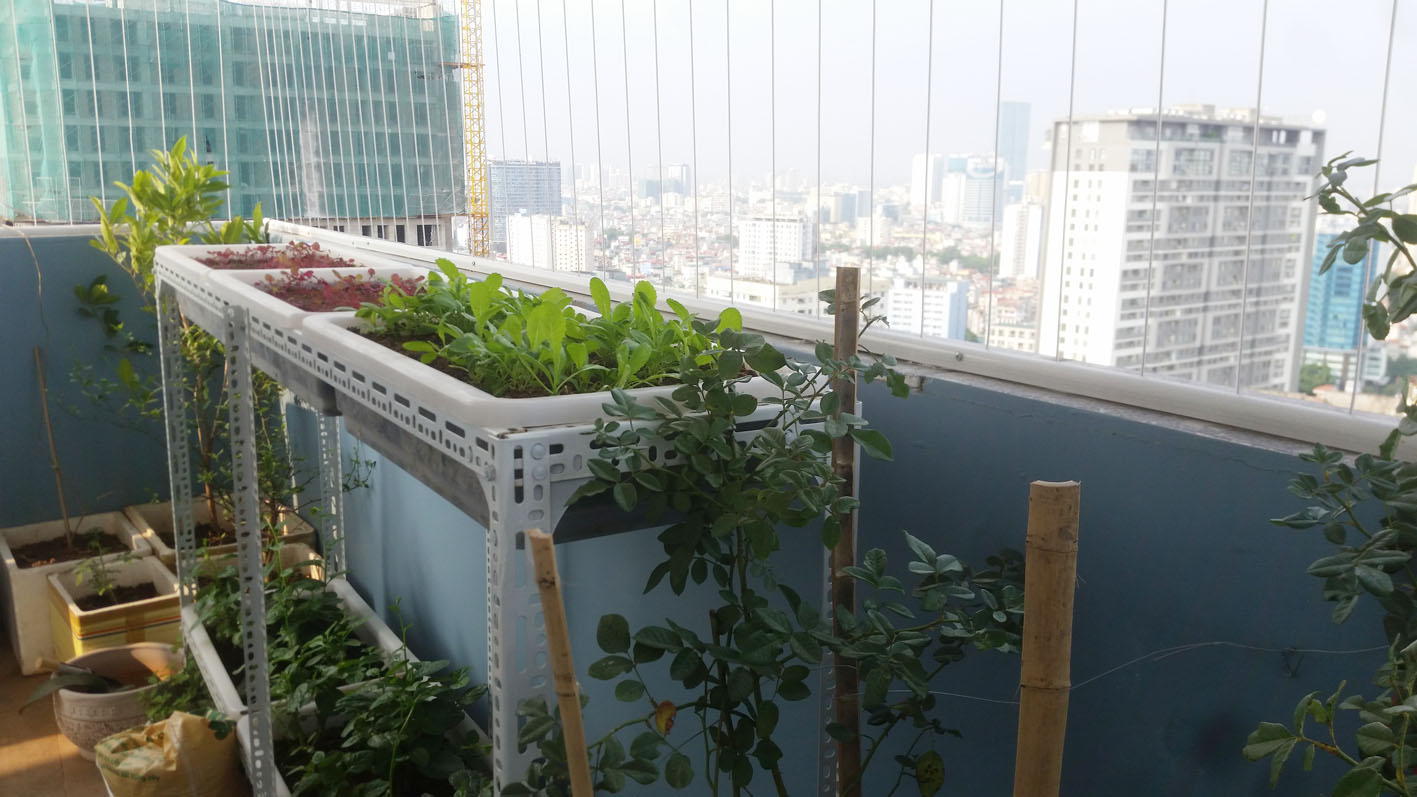 Một số mẫu lắp đặt lưới an toàn chung cư tại khu vực Ninh Thuận