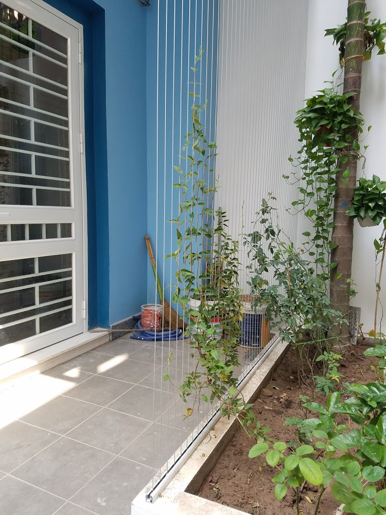 Hình ảnh mẫu lắp đặt lưới an toàn ban công chung cư ở An Giang