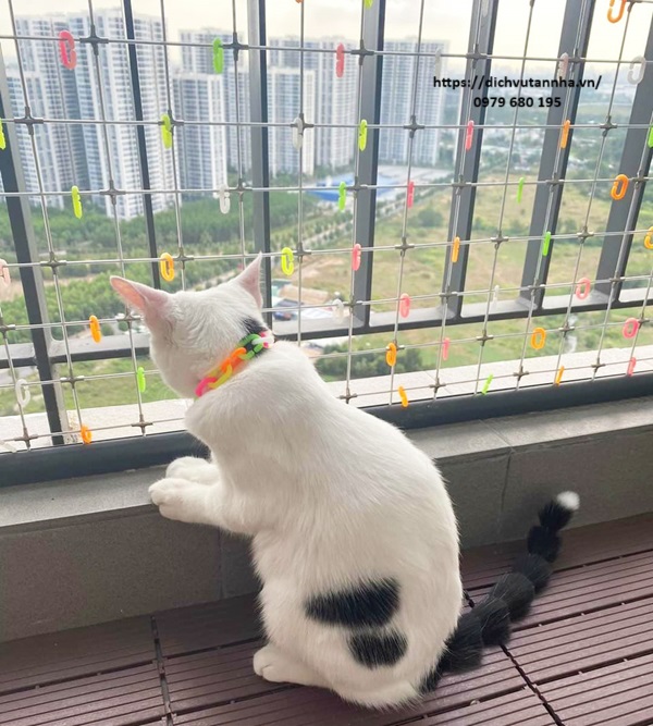 Lưới an toàn bảo vệ thú cưng